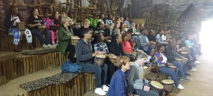 From Johannesburg: Lesedi Cultural Village & Lion Park Tour - Who This Tour Fits Best (and Who Might Want to Skip It)