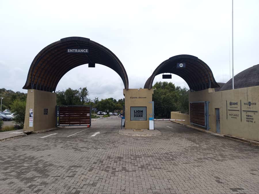 From Johannesburg: Lesedi Cultural Village & Lion Park Tour - The Morning Pickup, Timing, and How You’ll Use Your Day