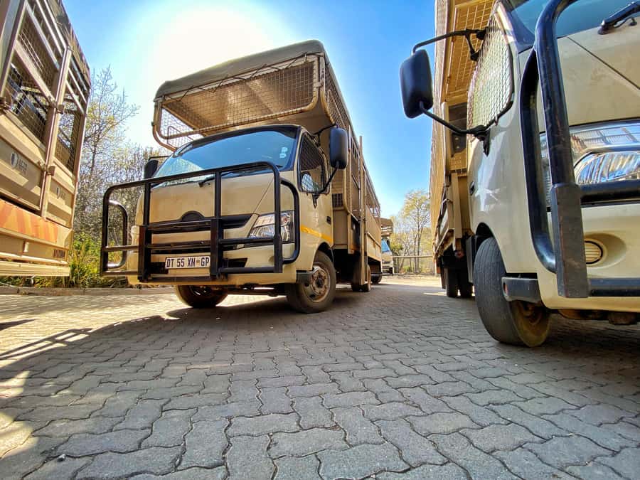 From Johannesburg: Lion & Safari Park Half-Day Tour - FAQ