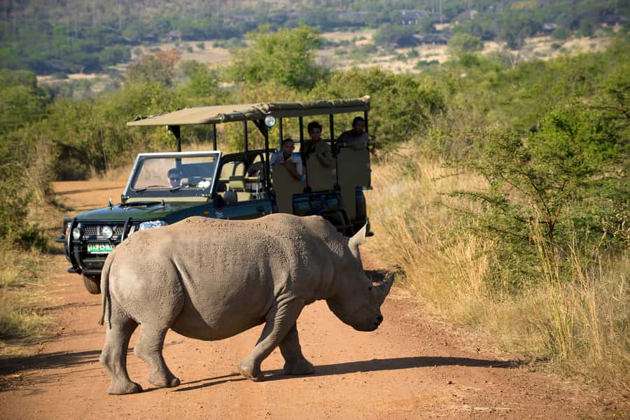 From Johannesburg: Pilanesberg Nature Reserve Game Safari - Key things to know before you go