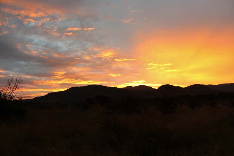 From Johannesburg: Pilanesberg Nature Reserve Game Safari - Birdlife on the dam: fish eagles, kingfishers, and cormorants