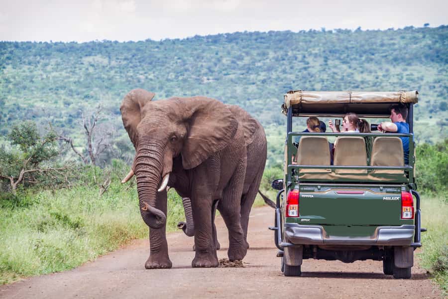 From Johannesburg: Pilanesberg Wildlife Safari - Hitting the road from Johannesburg, and why the drive is part of the safari