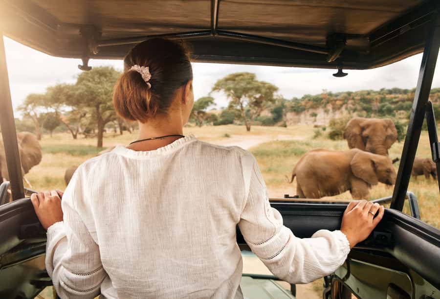 From Johannesburg: Pilanesberg Wildlife Safari - Price and value at about $263 per person