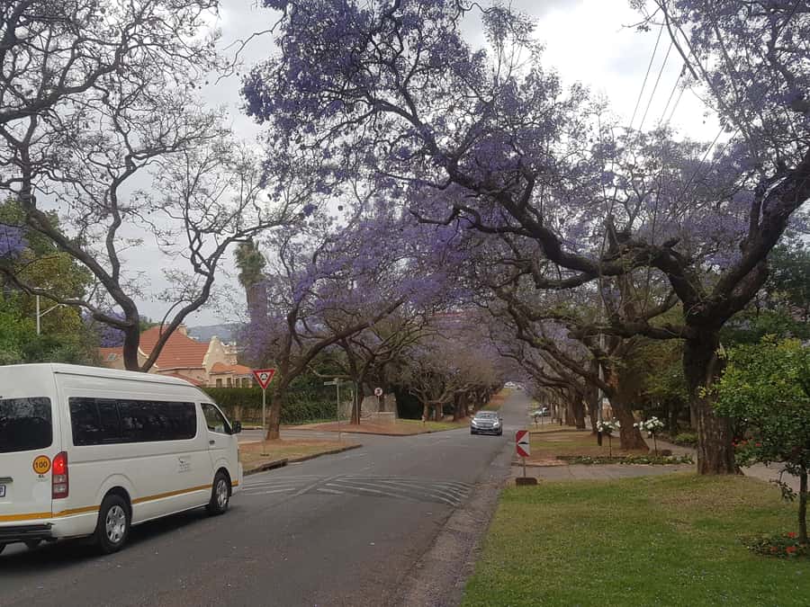 From Johannesburg: Pretoria Half Day Tour - The Voortrekker Monument: a stop that hits hard in daylight