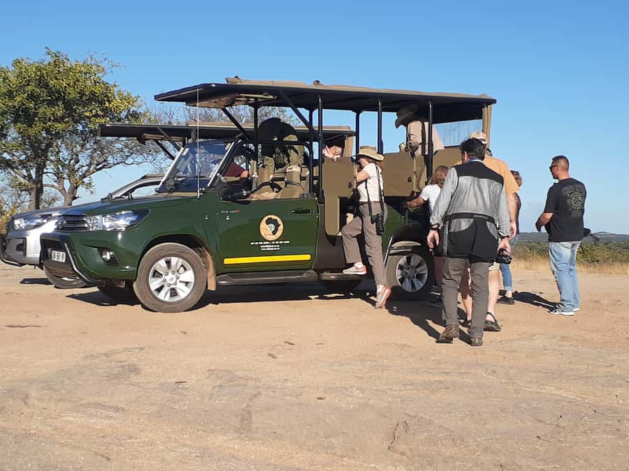 From Malelane: Half Day Kruger Park Wildlife Safari - Why a 5:00 AM start changes everything in Kruger