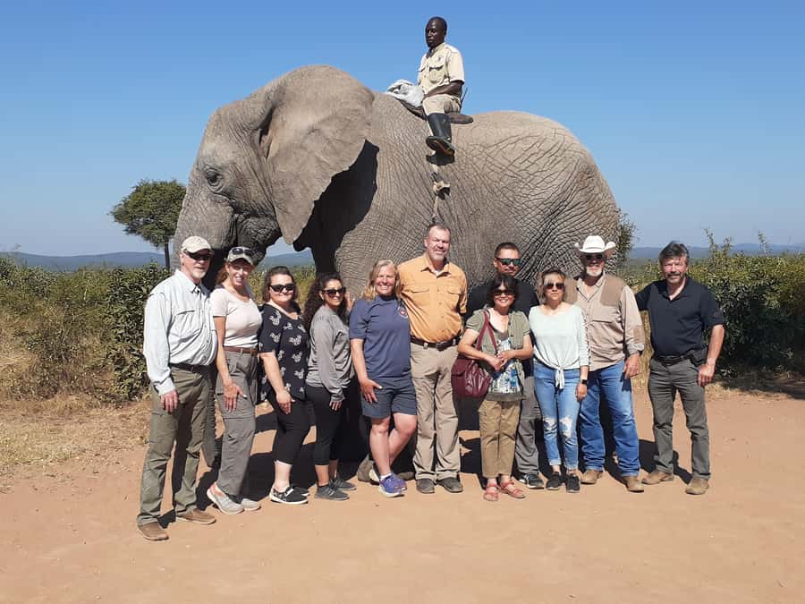 From Malelane: Half Day Kruger Park Wildlife Safari - From Malelane pickup to camp breakfast, here is your 6-hour flow