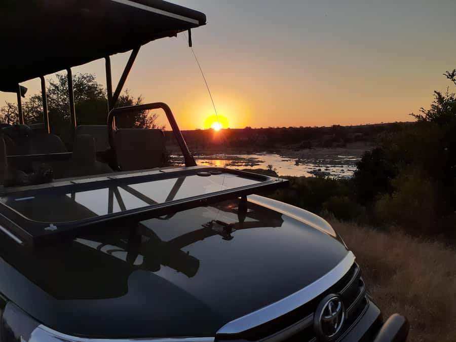 From Malelane: Half Day Kruger Park Wildlife Safari - Private vehicle, small group, and radios that keep the hunt moving