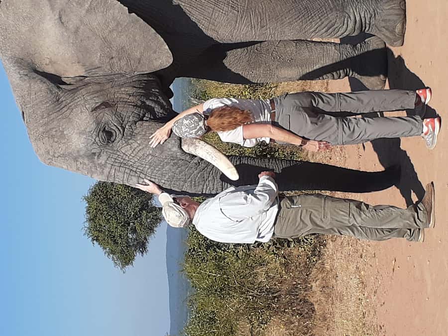 From Malelane: Kruger National Park Full-Day Safari - First Camp Stop and That Pre-9 AM Breakfast Break