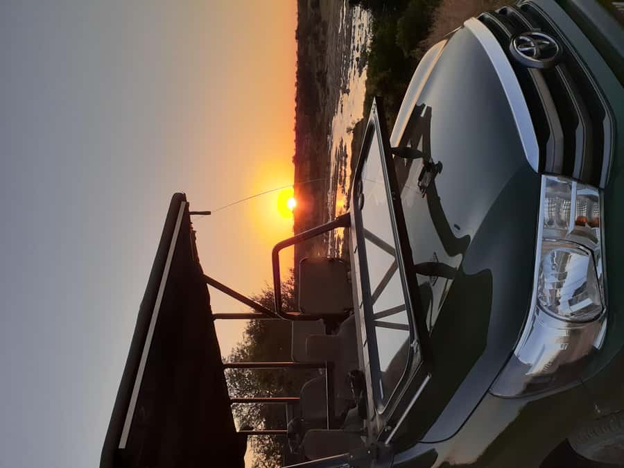 From Malelane: Kruger National Park Full-Day Safari - What the Guides Actually Bring to the Day