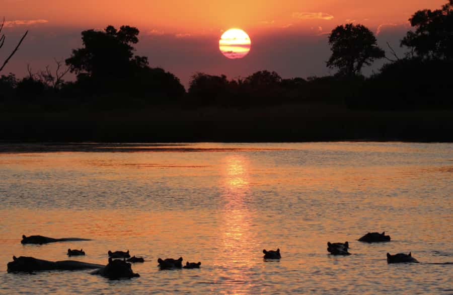 From Marloth Park: Sunset River Cruise Safari - Meet your guide: learning the river’s ecosystem while you watch