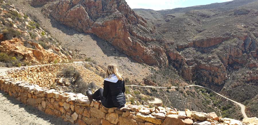 From Oudtshoorn: Full-Day Private Swartberg Mountain Tour - Great Karoo arid country, succulents, and karroid bush