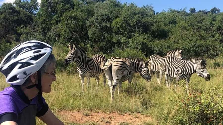 From Pretoria: E-Bike in the wild with game near Jo'burg - Key highlights worth your time