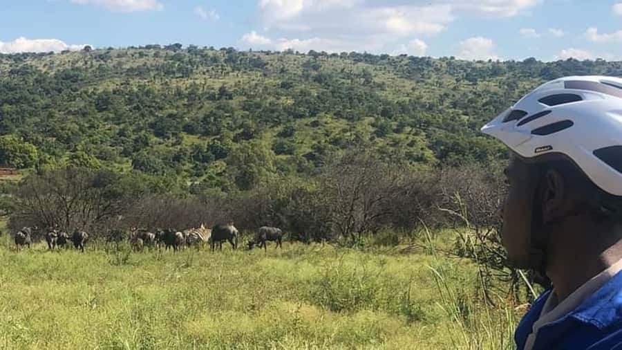 From Pretoria: E-Bike in the wild with game near Jo'burg - Groenkloof Nature Reserve: a 125-year-old wildlife time capsule near Joburg