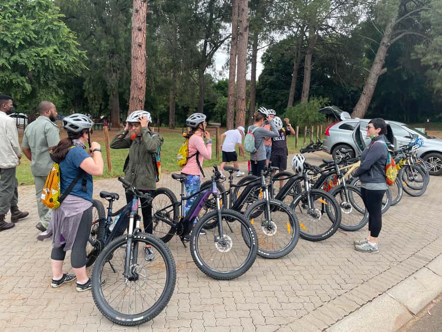 From Pretoria: E-Bike in the wild with game near Jo'burg - Wildlife odds and what to watch for close up