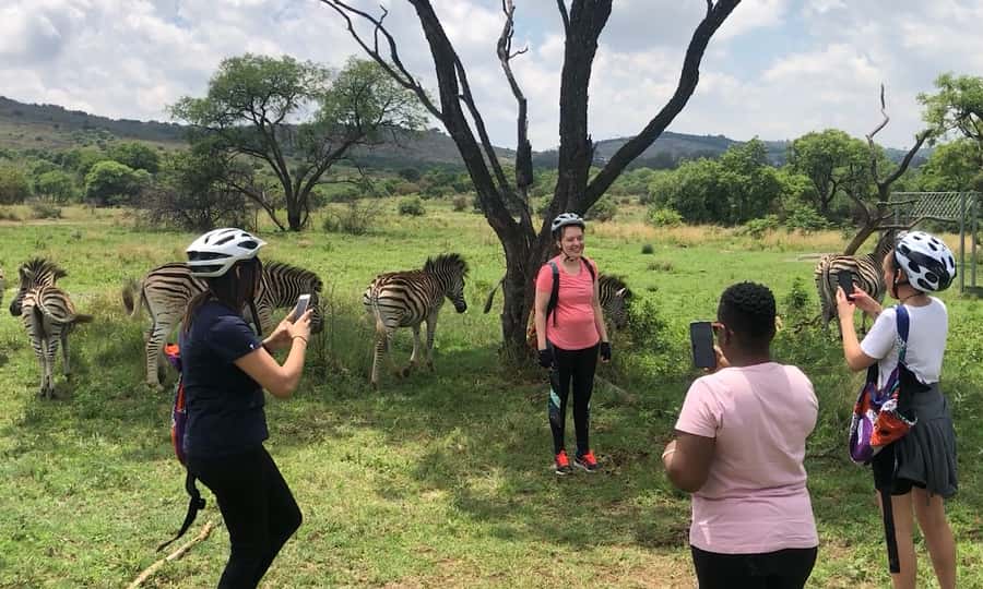 From Pretoria: E-Bike in the wild with game near Jo'burg - Price and value: $102 for a 3-hour guided e-bike with rentals and entry