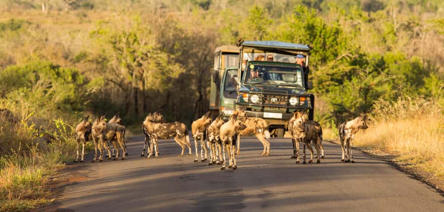 From St Lucia: 3 Day 2 Night Hluhluwe,St Lucia, iSimangaliso - Price and Value: Is $383 Per Person Fair for 3 Days?