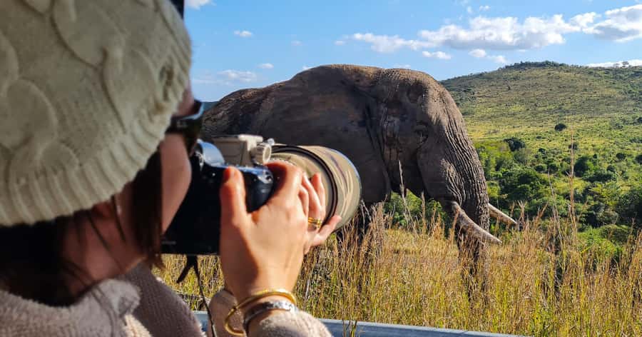 From St Lucia: Big 5 Safari in the Hluhluwe-Imfolozi Park - The Full 10-Hour Day Plan: Pickup, Drive, 8 Hours in the Reserve