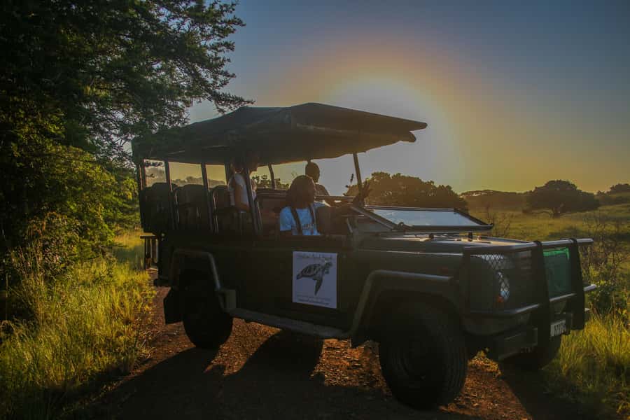 From St Lucia: Cape Vidal Full-Day Snorkeling Safari - Key things that make this tour worth your time