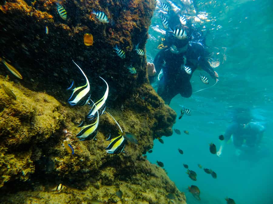 From St Lucia: Cape Vidal Full-Day Snorkeling Safari - Why iSimangaliso Wetland Park and Cape Vidal fit together