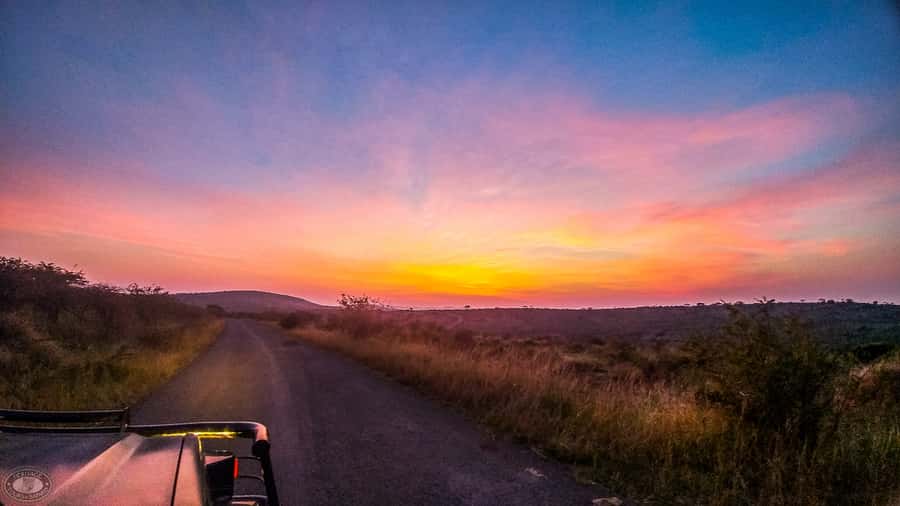 From St Lucia: iSimangaliso Sunset Safari - The Eastern Shores, where sunset changes the whole safari
