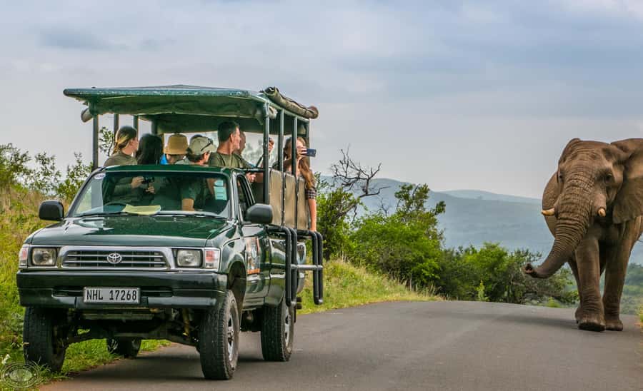 From St Lucia: iSimangaliso Sunset Safari - Sunset views and why dusk is a real animal cue