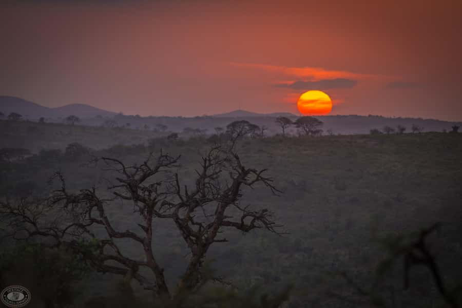 From St Lucia: iSimangaliso Sunset Safari - Price and value: what $39 gets you, and what it does not
