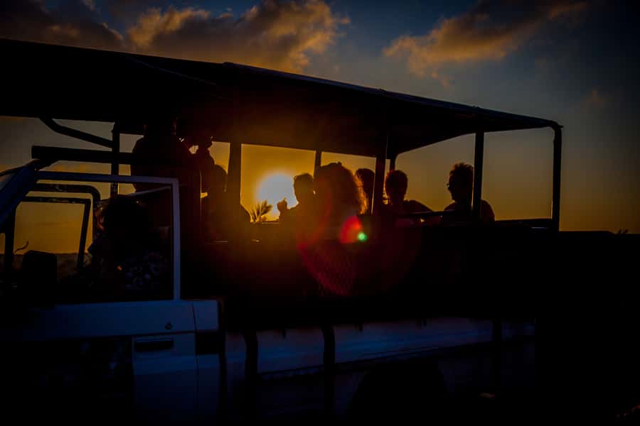 From St Lucia: iSimangaliso Wetland Park Night Drive Safari - Key Points to Know Before You Go