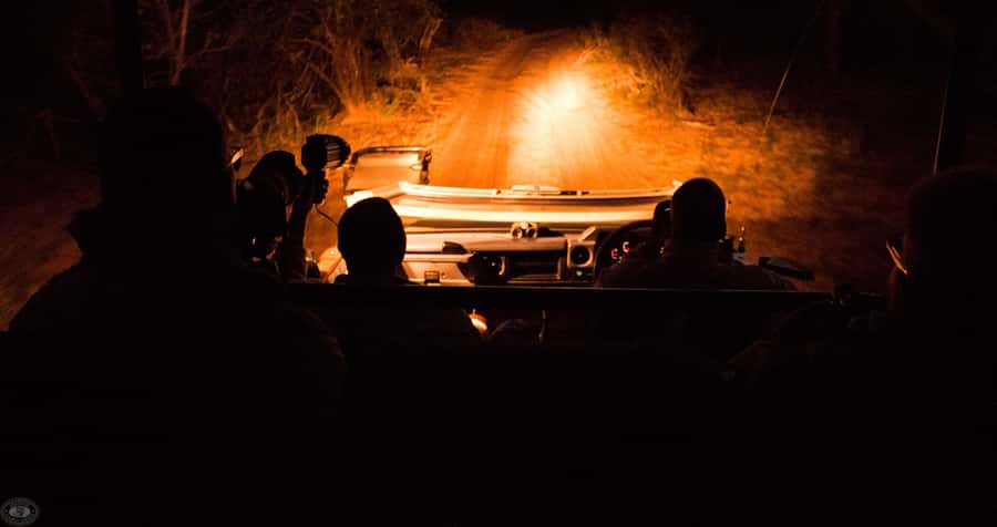 From St Lucia: iSimangaliso Wetland Park Night Drive Safari - Why iSimangaliso Night Drives Feel Like a Whole New Safari