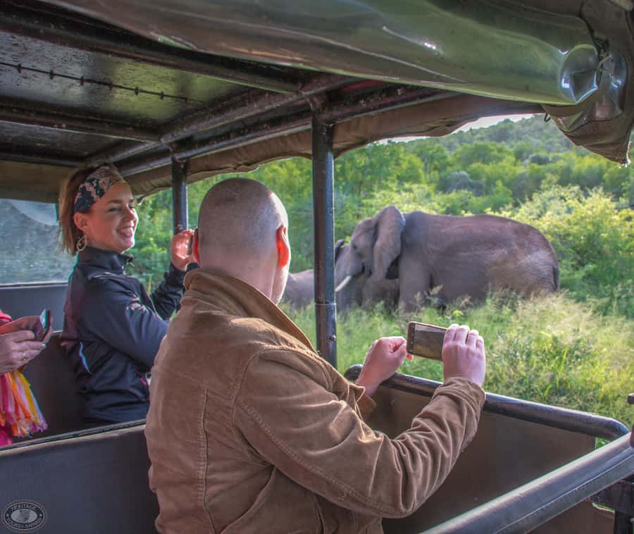From St Lucia: iSimangaliso Wetland Park Night Drive Safari - Should You Book the iSimangaliso Wetland Park Night Drive Safari?