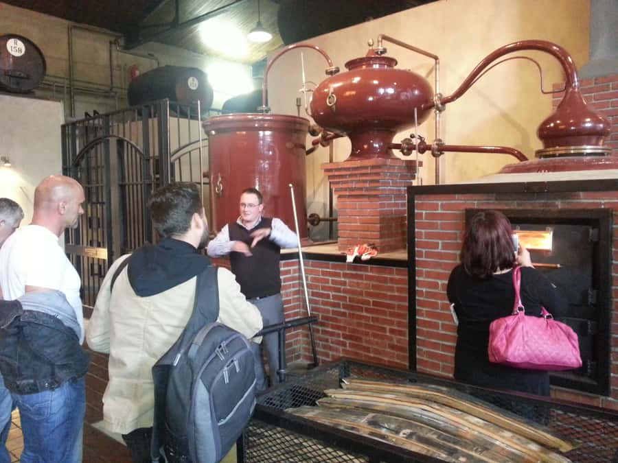 From Stellenbosch: Hop-On Hop-Off Wine Tour Southern Route - Key things I’d watch for