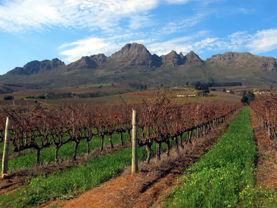 From Stellenbosch: Hop-On Hop-Off Wine Tour Southern Route - Price and Value for a Full Wine Day