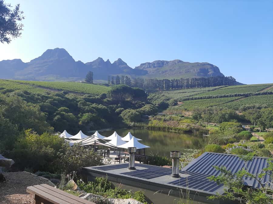 From Stellenbosch: Stellenbosch Guided Vineyard Walk - Weather, comfort, and what to pack so you enjoy the walk