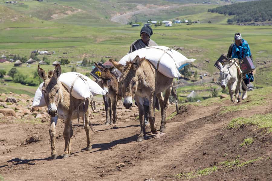 From Underberg: Extended Lesotho Day Tour - 9.5hrs - Comfort, guide quality, and the value of an all-in-one 4x4 route