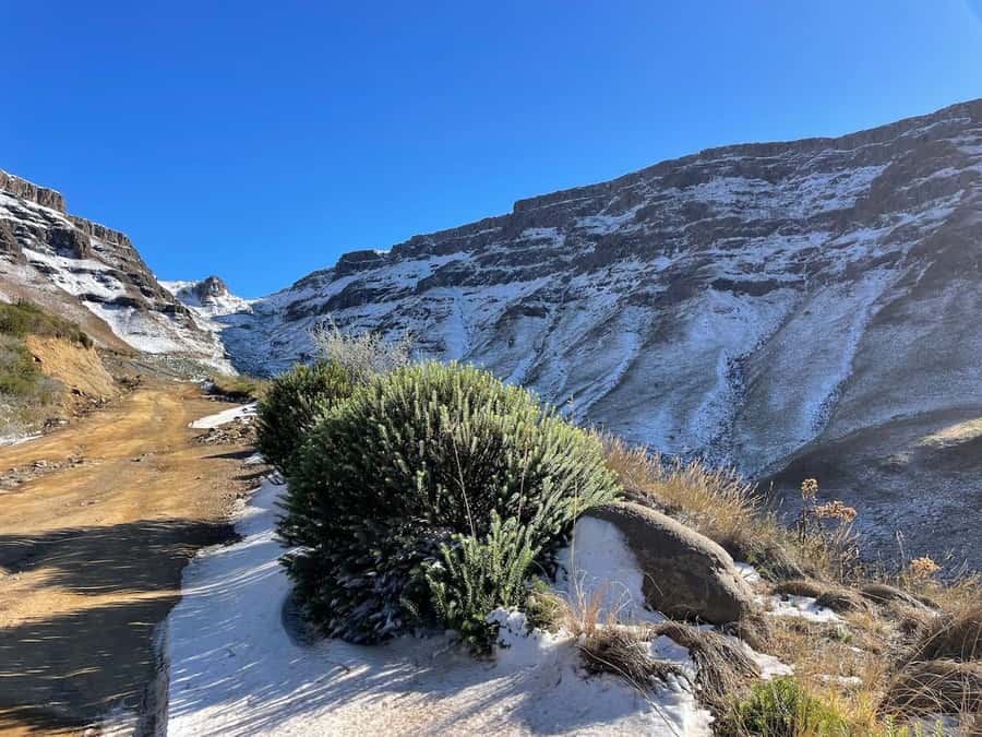 From Underberg: Sani Pass Private Day Tour - Underberg pickup and how the 6.5-hour day actually feels