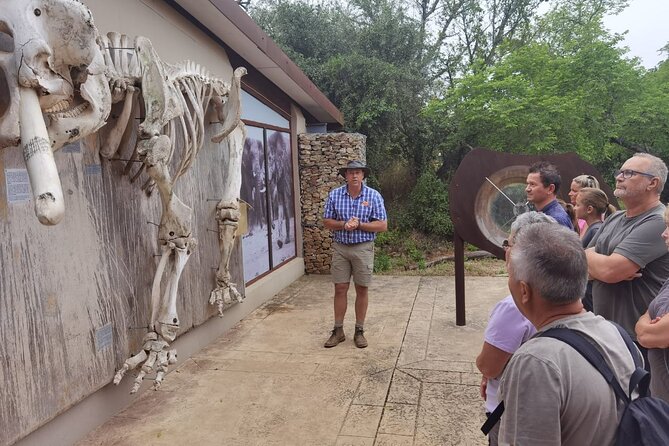 Full-Day Addo Elephant Park & Giraffe Walk - Price and value: what you are paying for (and what you are not)