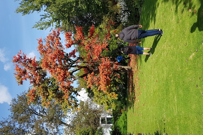 Full Day Afrivista Wine Tours from Stellenbosch - Price and What You Actually Get for $79.08