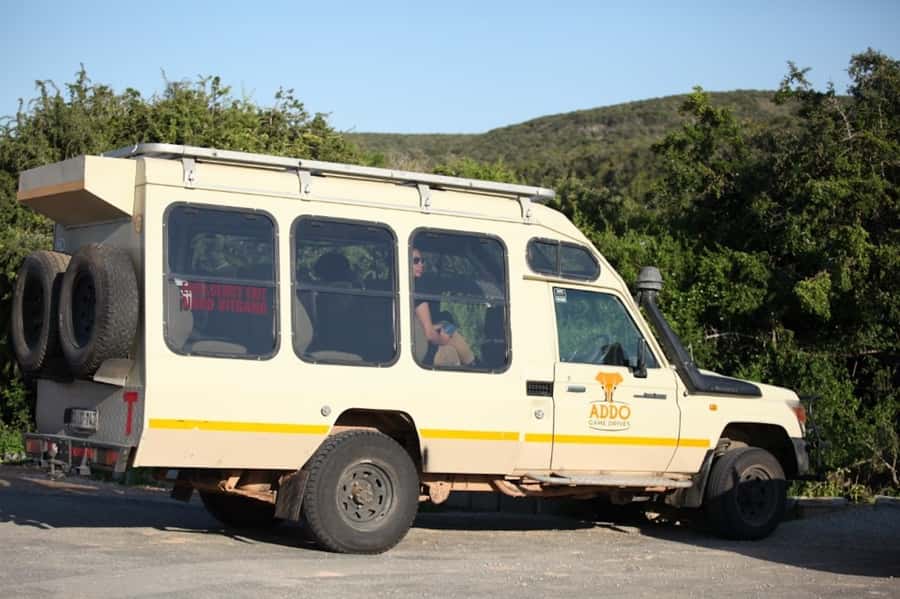 Full-Day All Inclusive Safari with Traditional Braai Lunch - 9 hours, two game drives: how the timing helps your sightings