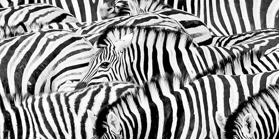 Full Day Aquila Safari (German) - Price and value: is $320 fair for a full day?