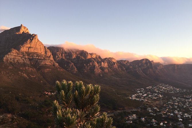 Full-Day Best of the Cape, Peninsula, Cape Point and Stellenbosch Tour - Boulders Beach Penguins: Worth It, But Only If It Fits Your Mood