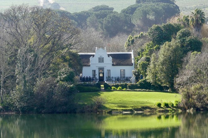 Full-Day Best of the Cape, Peninsula, Cape Point and Stellenbosch Tour - Stellenbosch Town First, Then Zevenwacht Cellar for Tastings