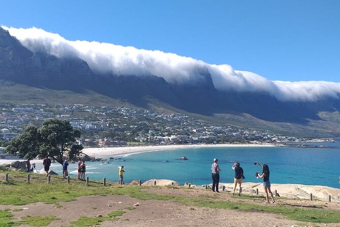 FULL Day Cape of Good Hope and Boulders Penguin Colony - Bo-Kaap and the Coastal Neighborhoods: Color, Wind Protection, and Easy Photos