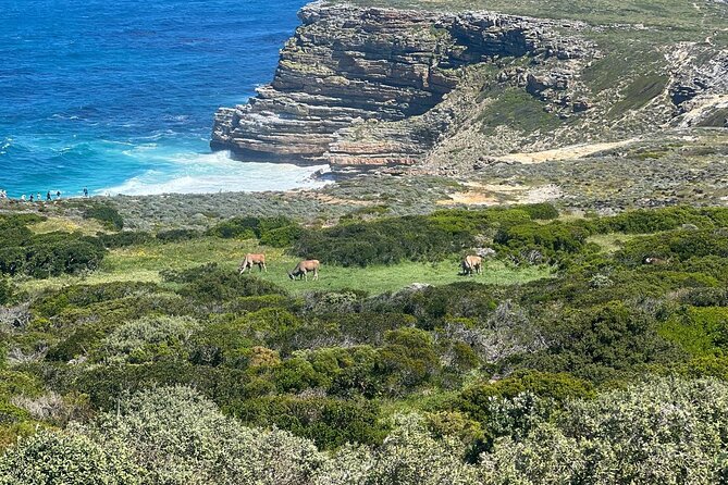 Full-Day Cape of Good Hope and Table Mountain with Penguins Tour - Old Cape Point Lighthouse: 360-degree edge-of-the-world views