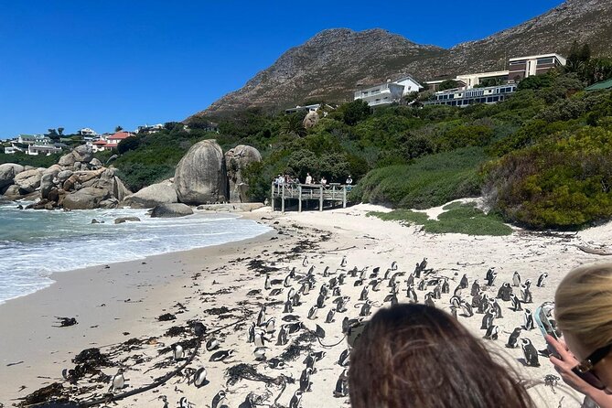 Full-Day Cape of Good Hope and Table Mountain with Penguins Tour - Cape of Good Hope: oceans meeting and cueing behavior