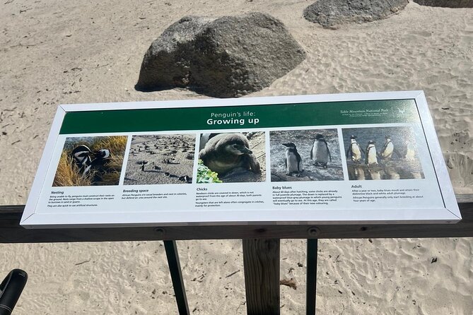 Full-Day Cape of Good Hope and Table Mountain with Penguins Tour - Chapmans Peak Drive: short stop, big views