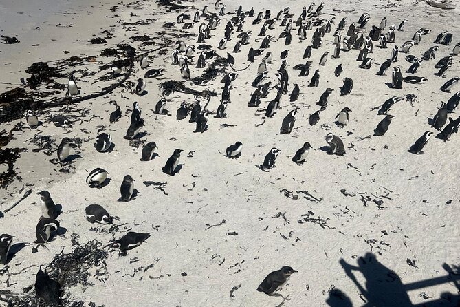 Full-Day Cape of Good Hope and Table Mountain with Penguins Tour - Table Mountain by cable car: where the views usually win