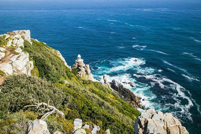Full-Day Cape Peninsula Tour from Cape Town - Hout Bay Harbour Lookout, Optional Seal Island, and Seafood Energy
