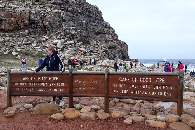 Full Day Cape Peninsula Tour in Private Car - Chapman’s Peak Drive: “Chappies” and 114 curves