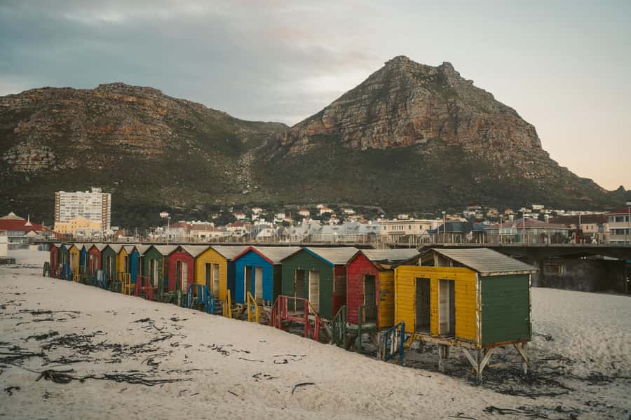 Full day Cape Penisula Tour: Chapman's Peak - Cape Point - Why this Cape Peninsula day feels like a classic, not a checklist