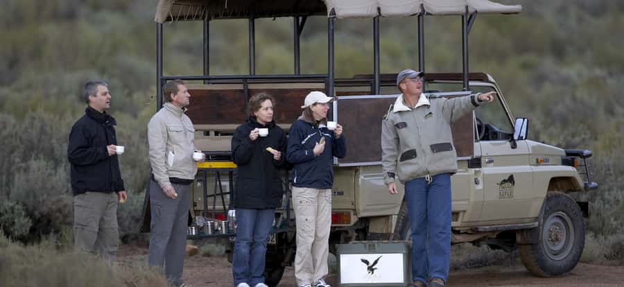Full Day Cape Town Safari - Price and included value: what $342 buys you