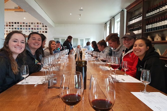 Full day Cape Winelands ( Stellenbosch and Franschoek ) - What You’ll Love Most (and What to Watch)